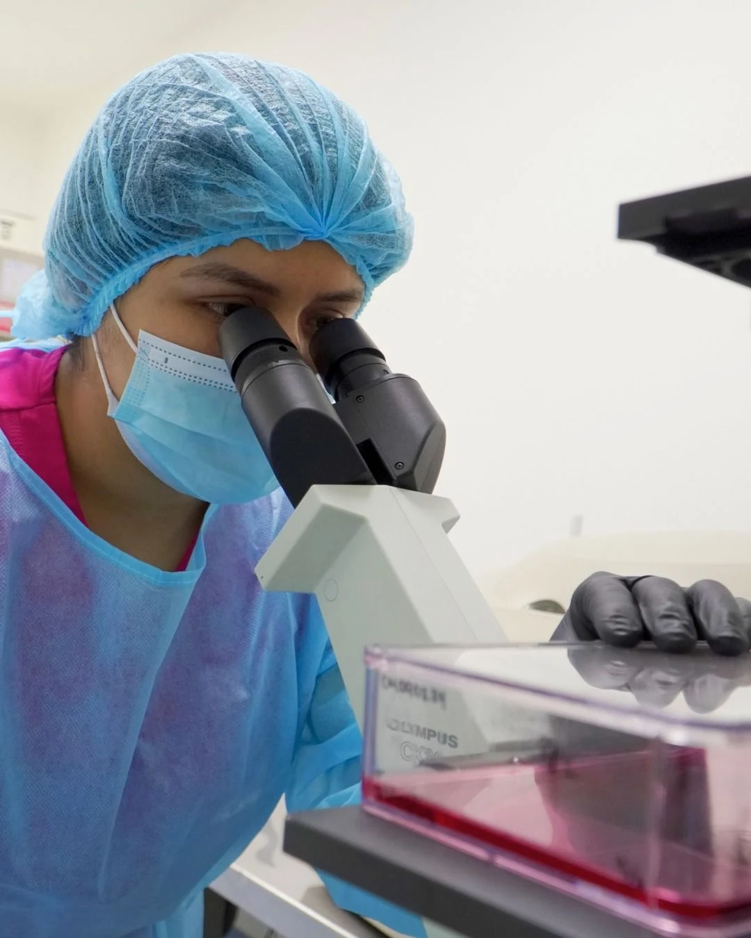 Progen Cell - Image 3