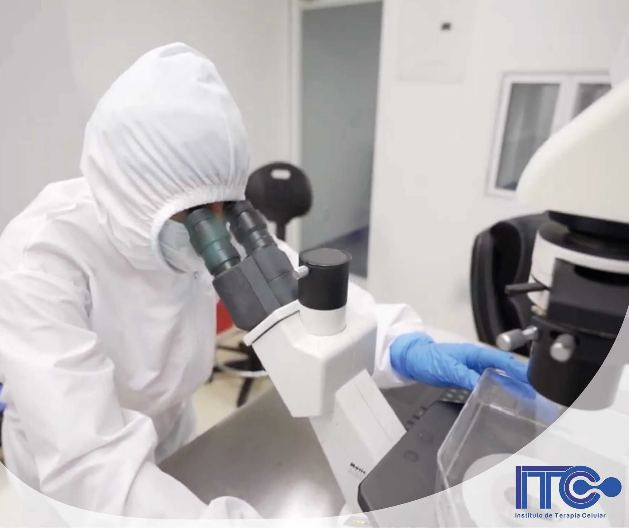 Institute of Cellular Therapy - Stem Cell - Image 2